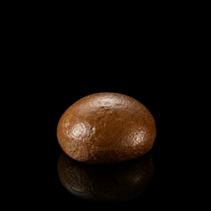 Choc Mocha Bun